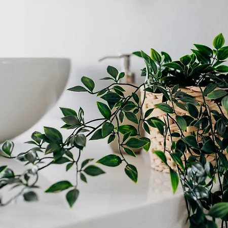 Von Platen * Syrakusa